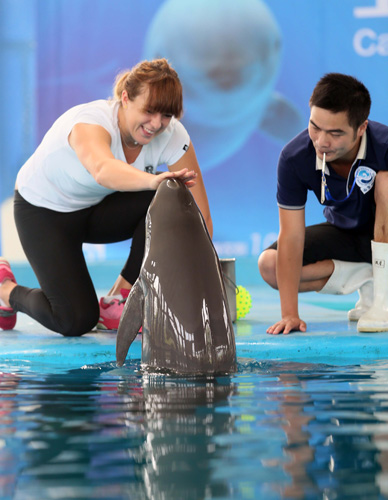 山东男篮的 山东男篮的